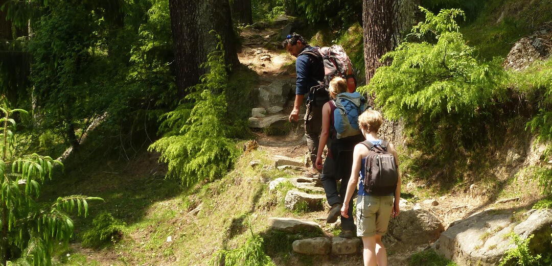 trekking coach
